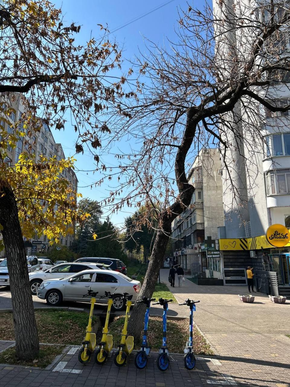 уют в центре золотого квадрата на пушкина рядом с метро и парками